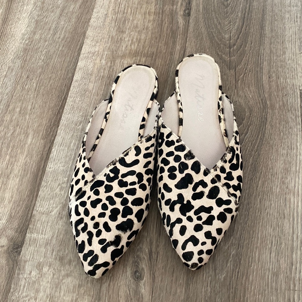 Cheetah mules